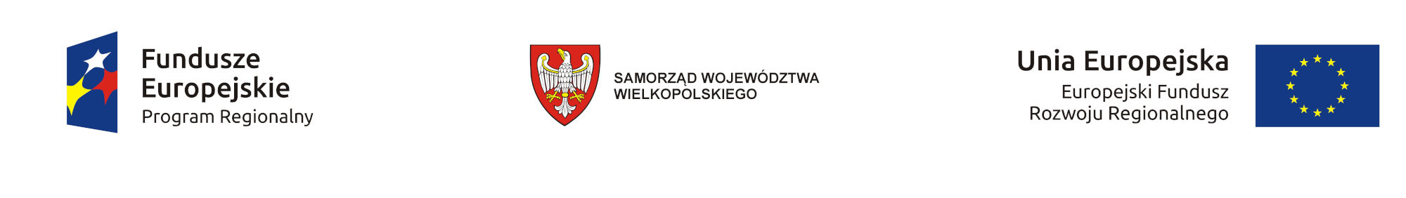 EFRR Samorzad kolor 2000